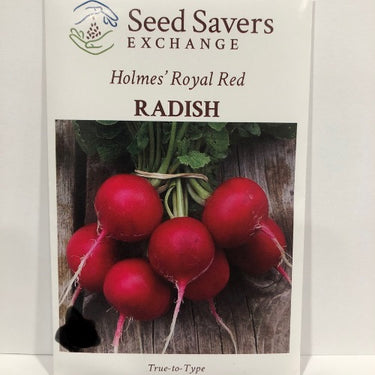 Holmes Royal Red Radish, 1899 Heirloom